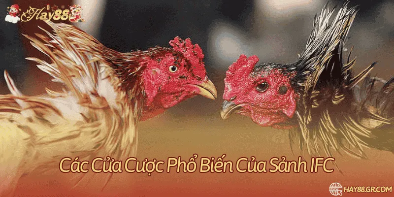 Phân biệt các cửa kết quả của trận