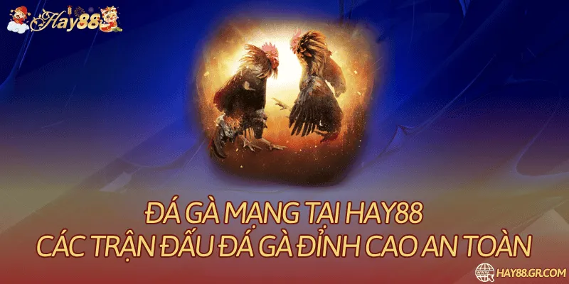 Đá Gà Mạng HAY88: Thông Tin Sảnh Và Quy Định