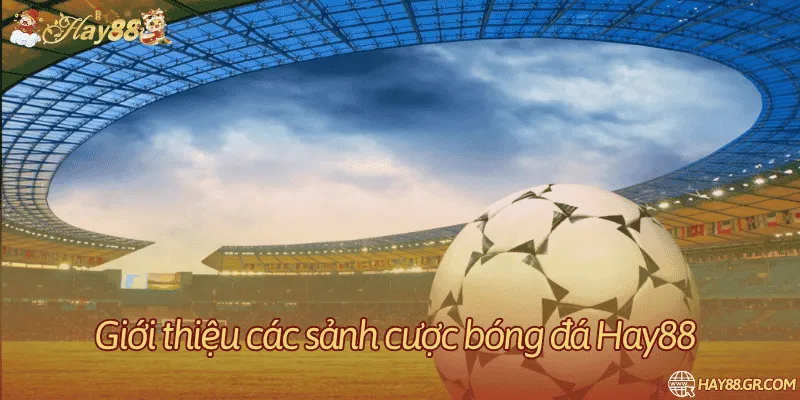 Thông tin sảnh và quy tắc cần đọc