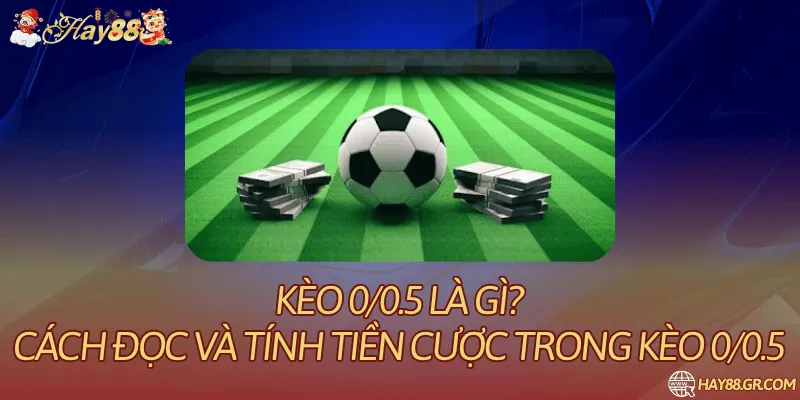 Kèo 0/0.5 Là Gì? Cách Đọc Và Tính Kết Quả