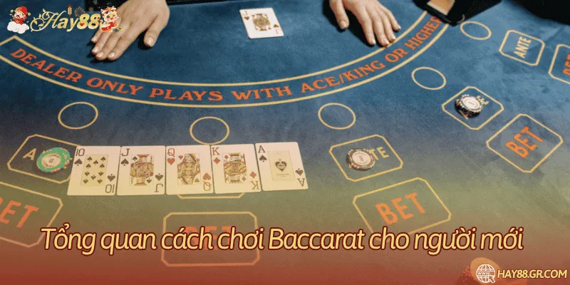 Điểm và cửa trong Baccarat
