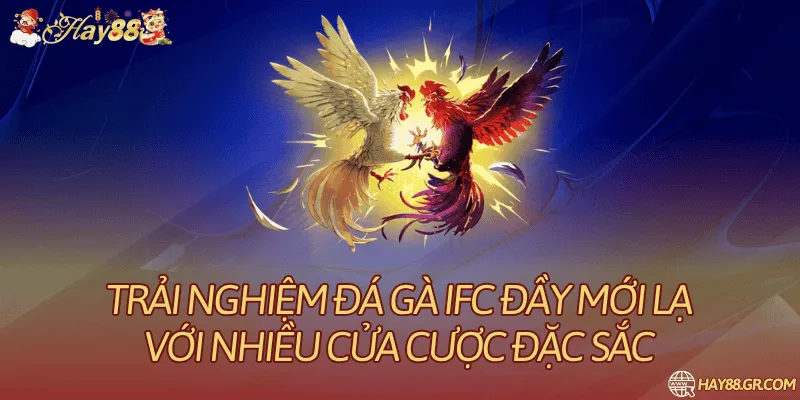 Đá Gà IFC: Cửa Cược Và Quy Định Trận Đấu